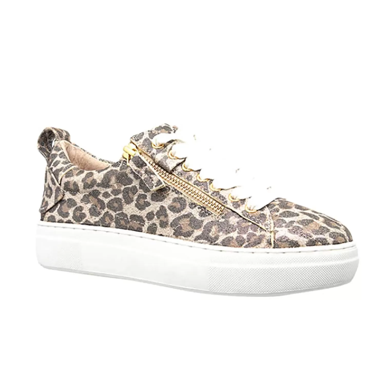 Alfie & Evie Sneakers*Maize Sneaker - Champagne Leopard - AE18